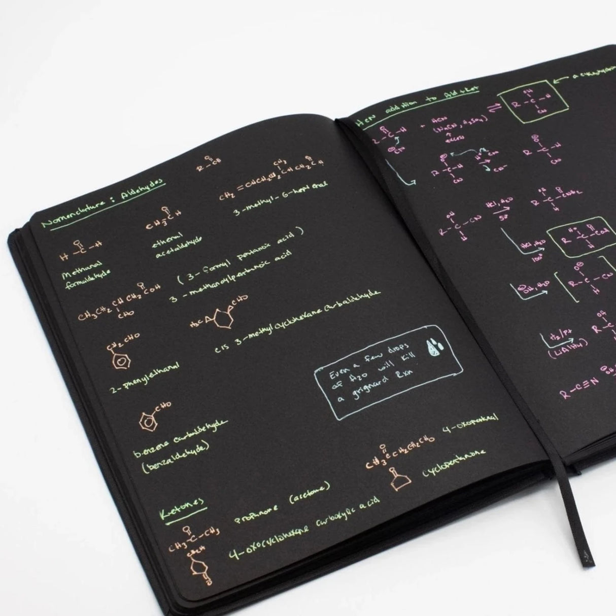 Spider & Webs Notebook