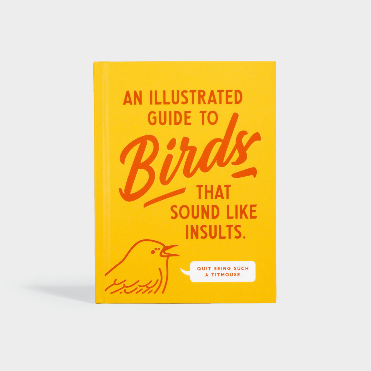 An Illustrated Guide to Birds that Sound like Insults