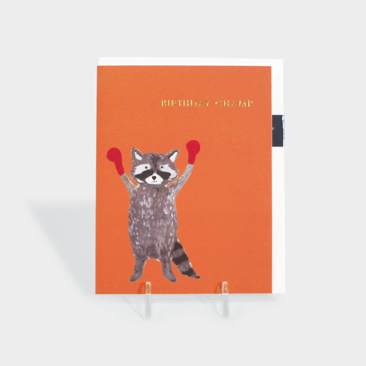 Birthday Boxing Raccoon Greeting Card