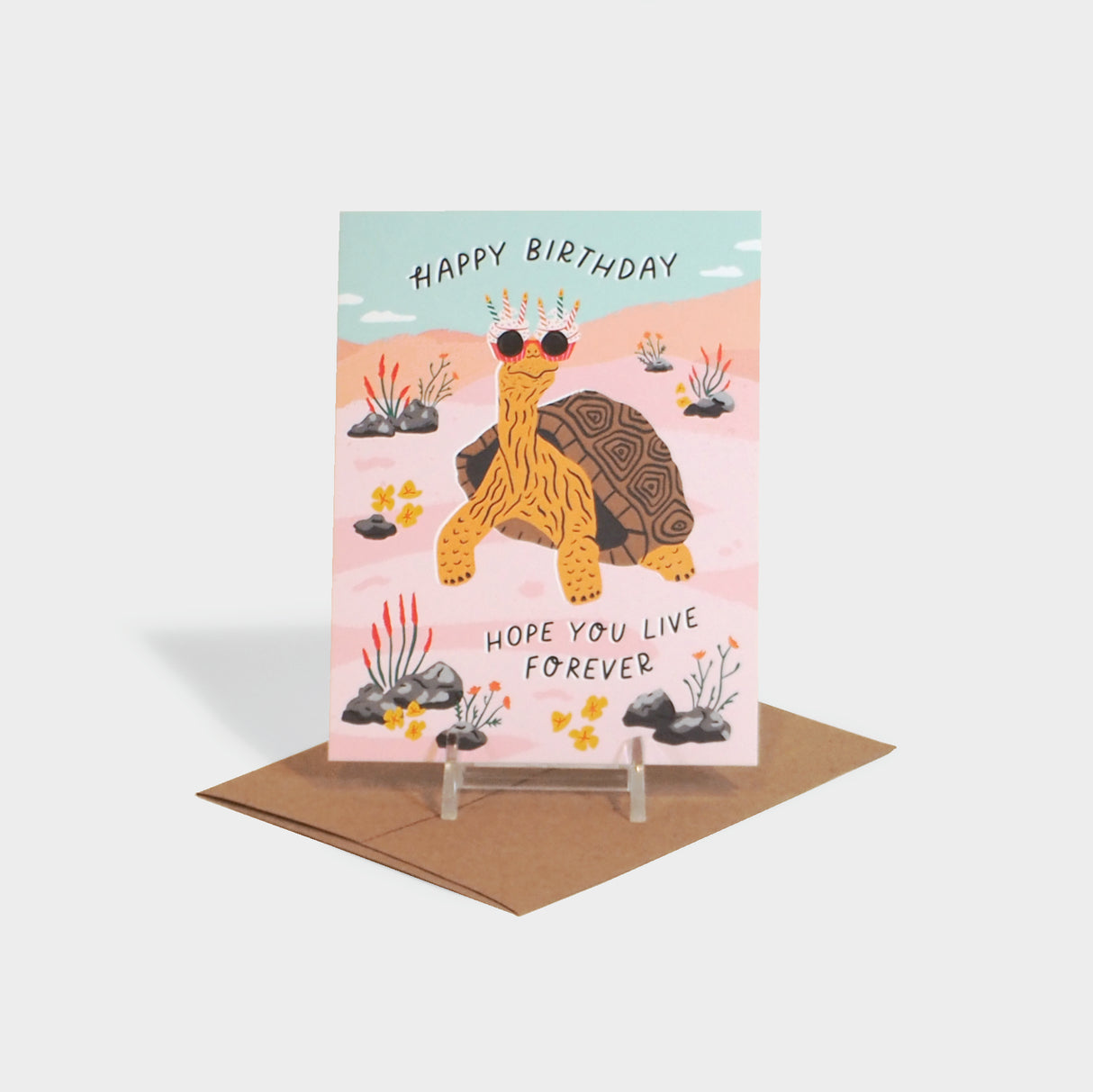 Birthday Tortoise Greeting Card