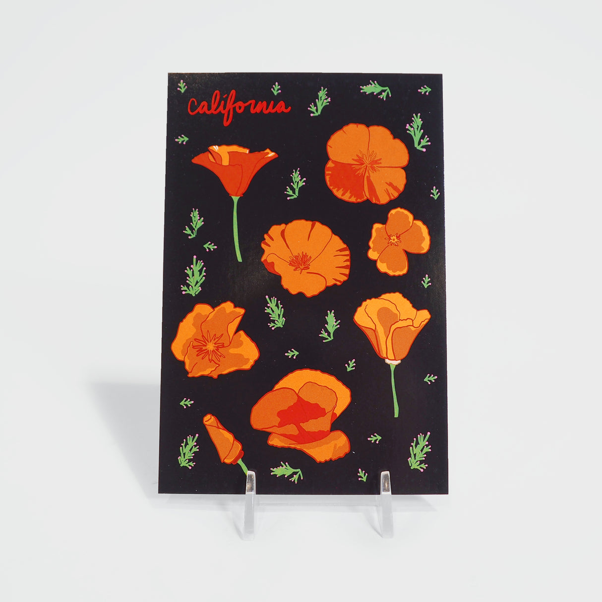 California Poppy Post Card Illustrated by Nilina Mason-Campbell