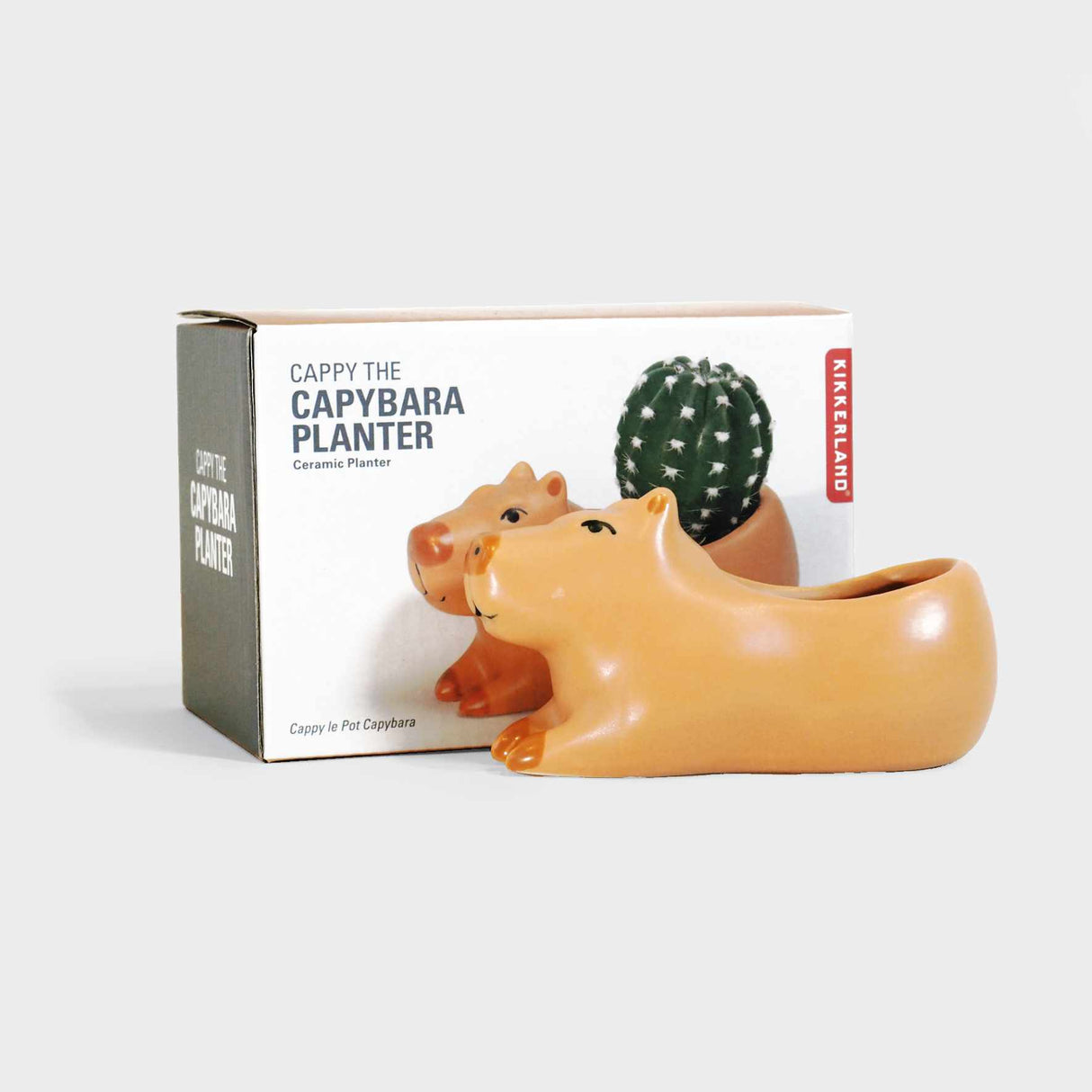 Cappy the Capybara Small Planter