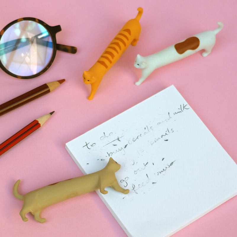 Cat Erasers