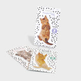 Cat Nail Files