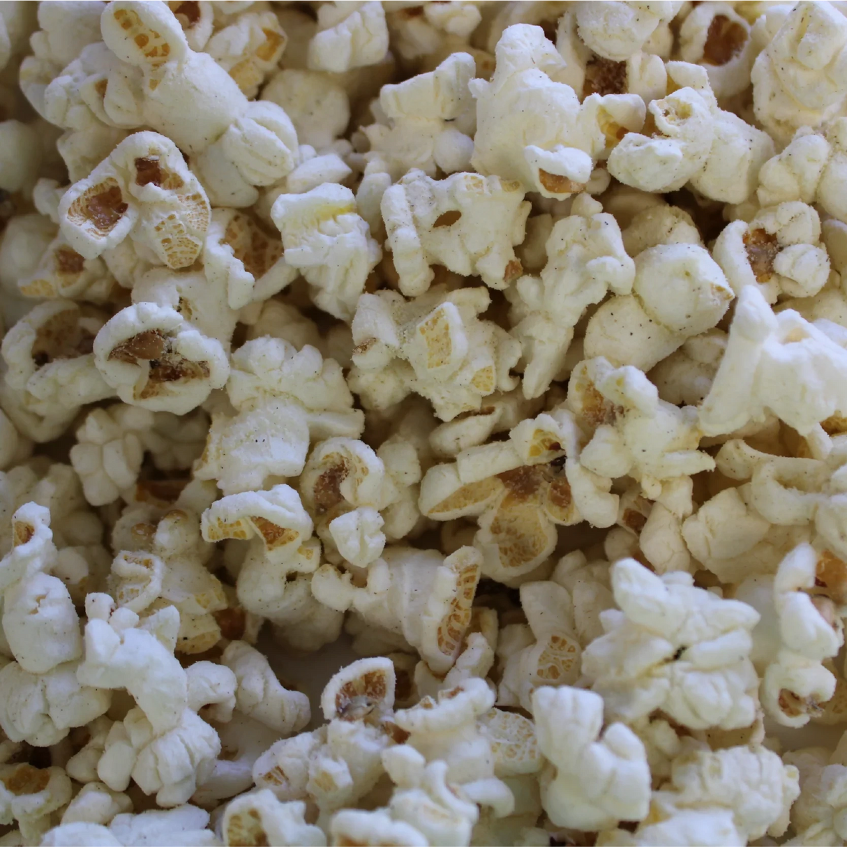 Cheddar Rosemary Popcorn
