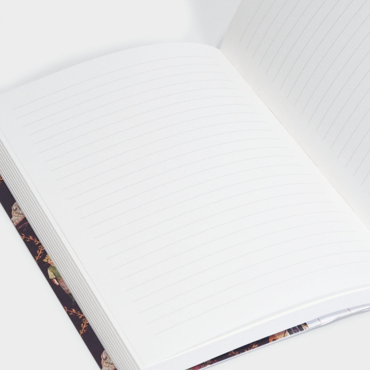 Cottage Cats A5 Premium Notebook