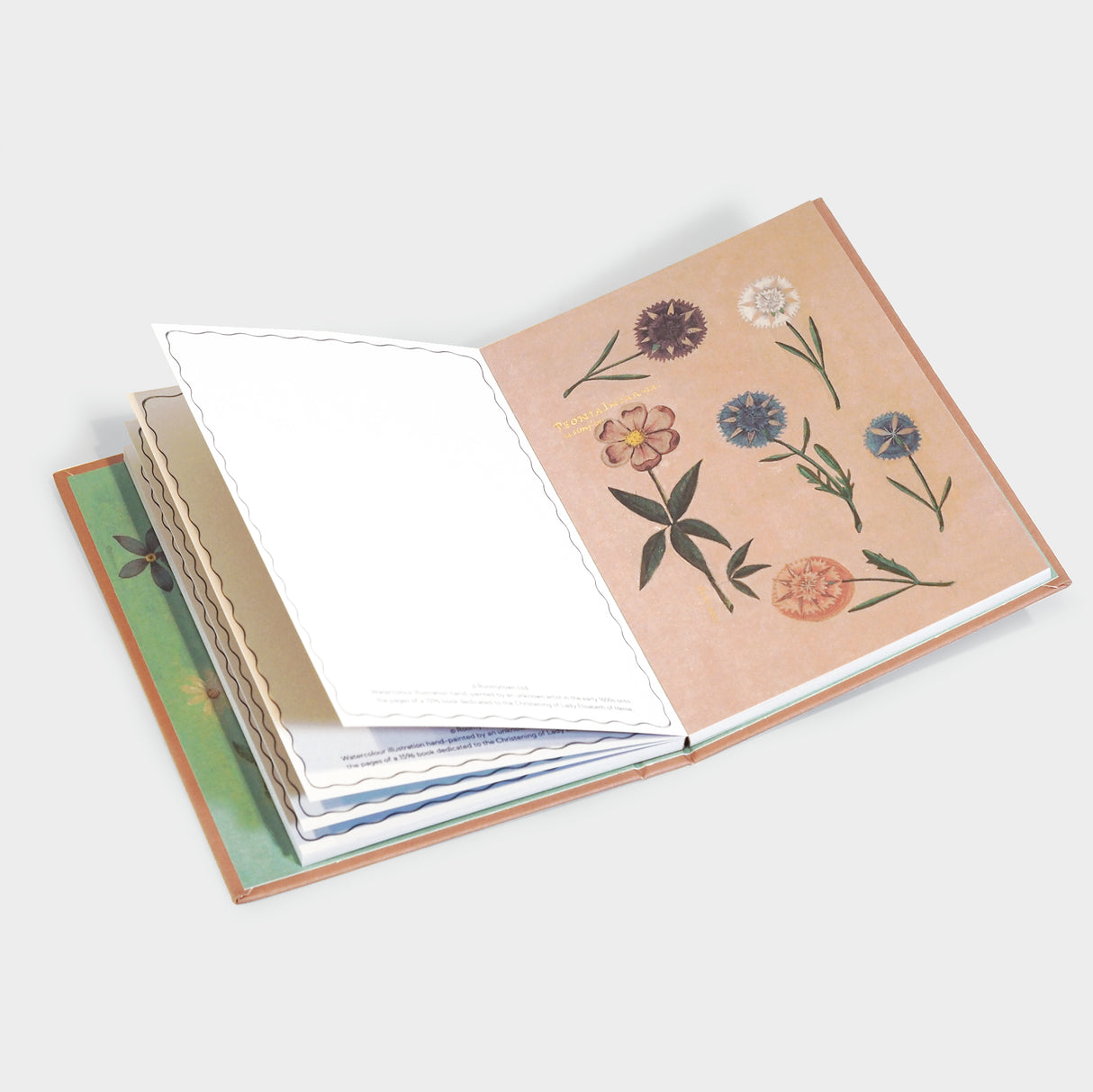 Festival of Flowers Post Card Book