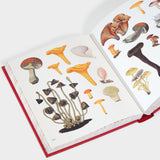 The Forests, Fairies and Fungi Sticker Anthology: With More Than 1,000 Vintage Stickers