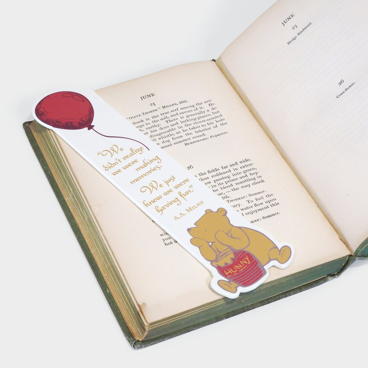 The House at Pooh Corner Bookmark