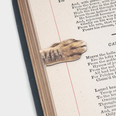 Magnetic Cat Paw Bookmarks