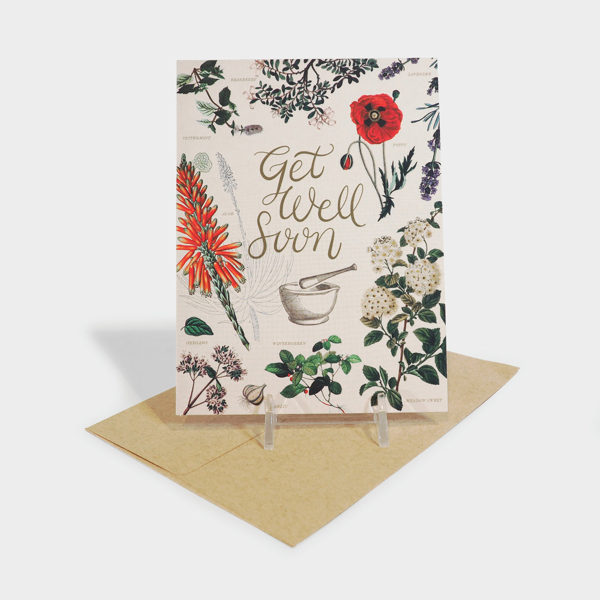 Medical Botany Greeting Card