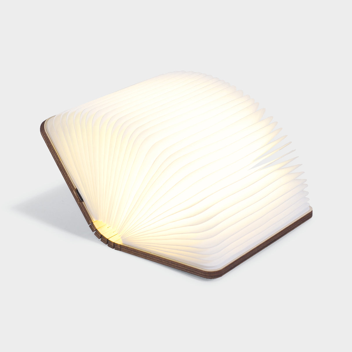 Mini Smart Book Light