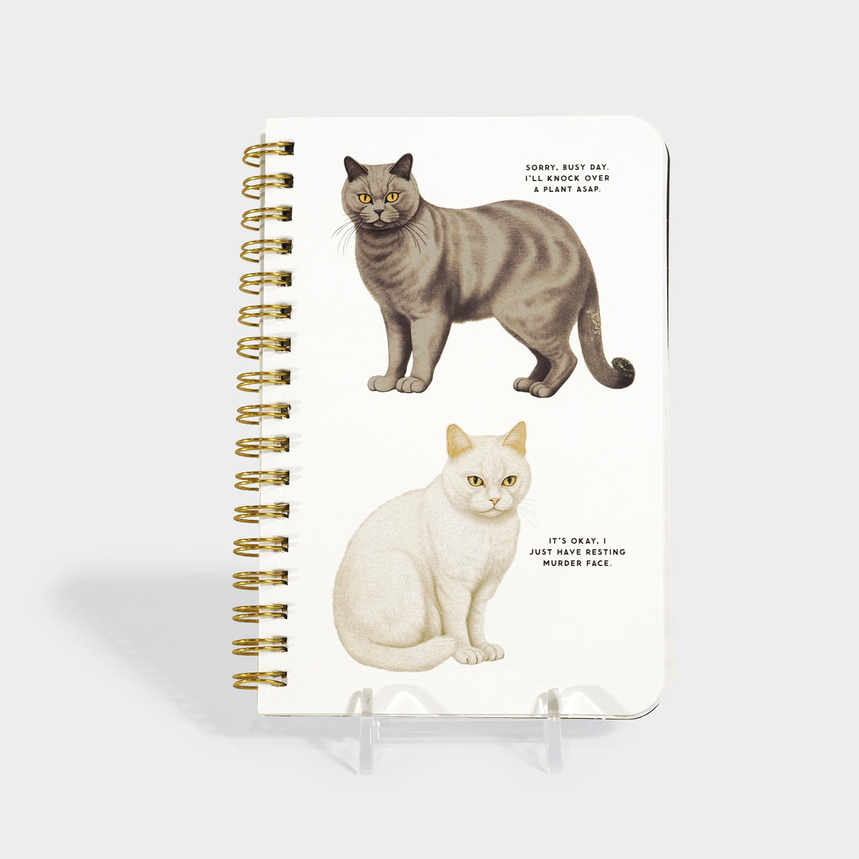 Moody Cats Sticker Book