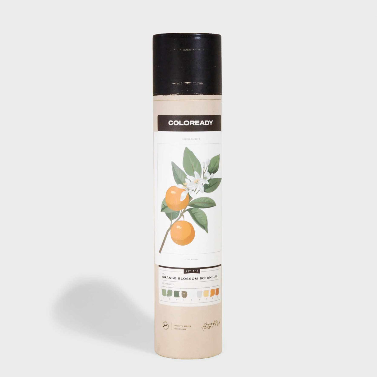 Orange Blossom - Paint By Number Kit