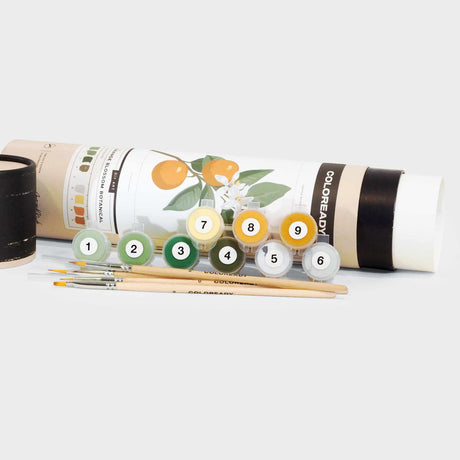 Orange Blossom - Paint By Number Kit