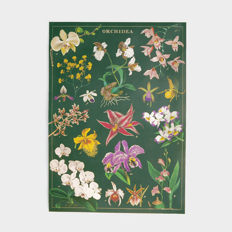 Orchid Single Gift Wrap Sheet