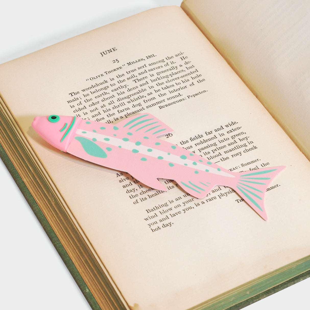 Pisces Bookmark