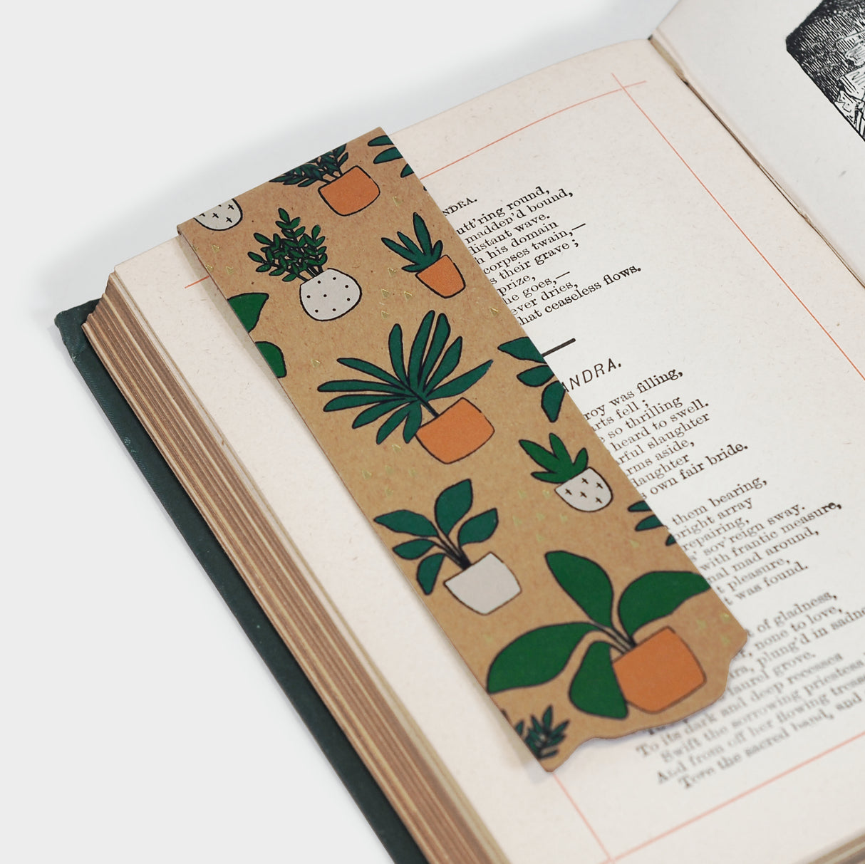 Potted Plants Bookmark