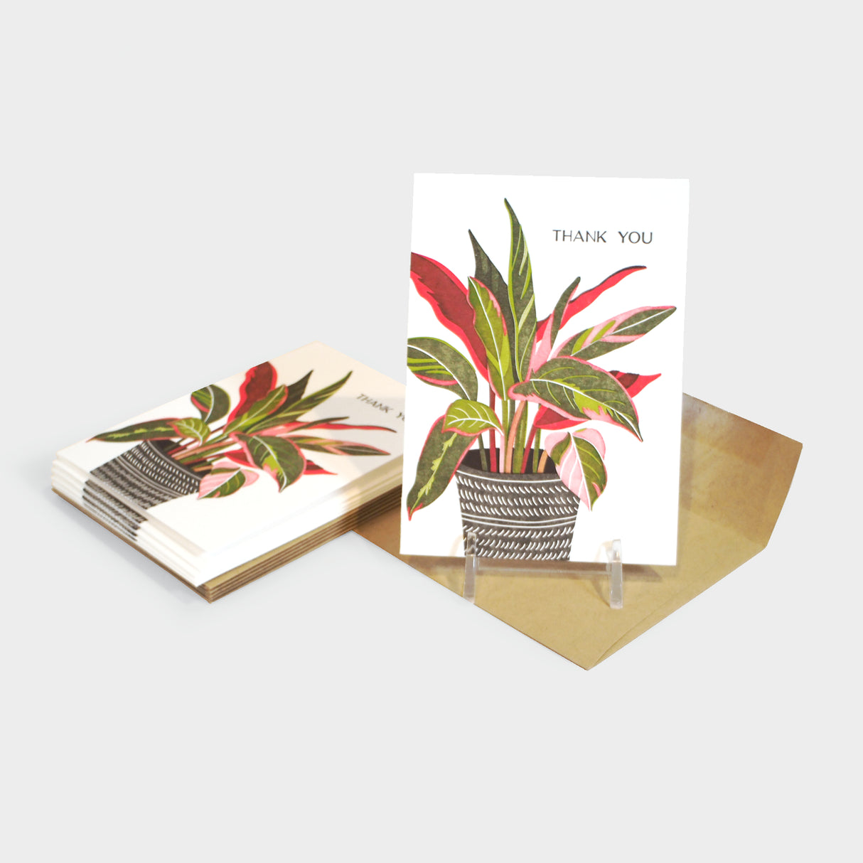 Pretty Plant Greeting Card Set