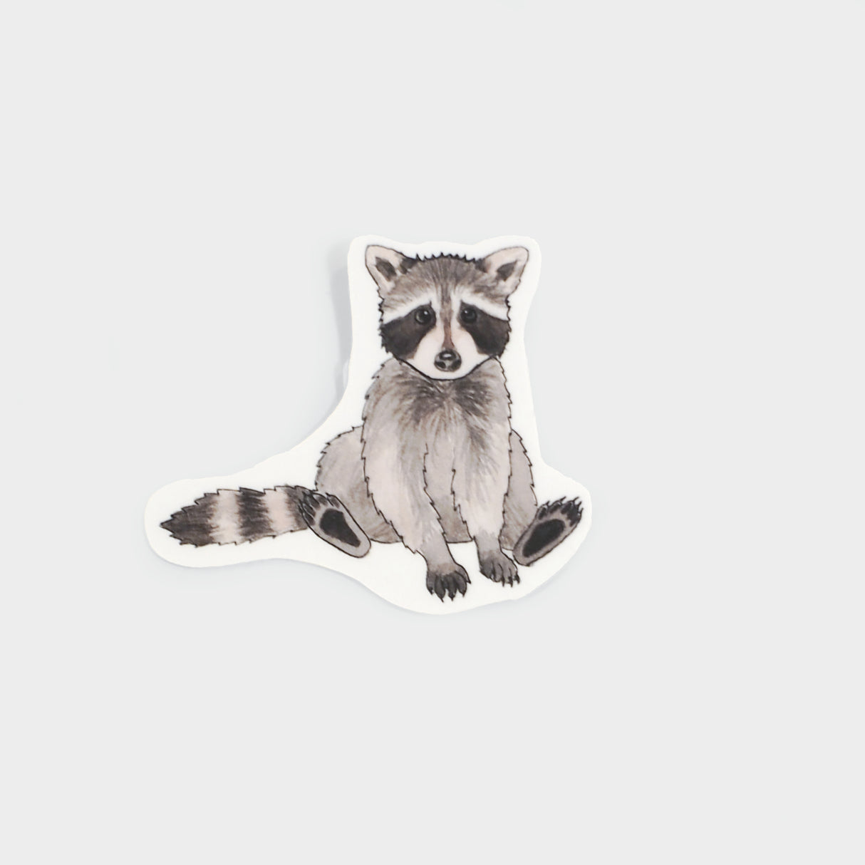 Raccoon Sticker