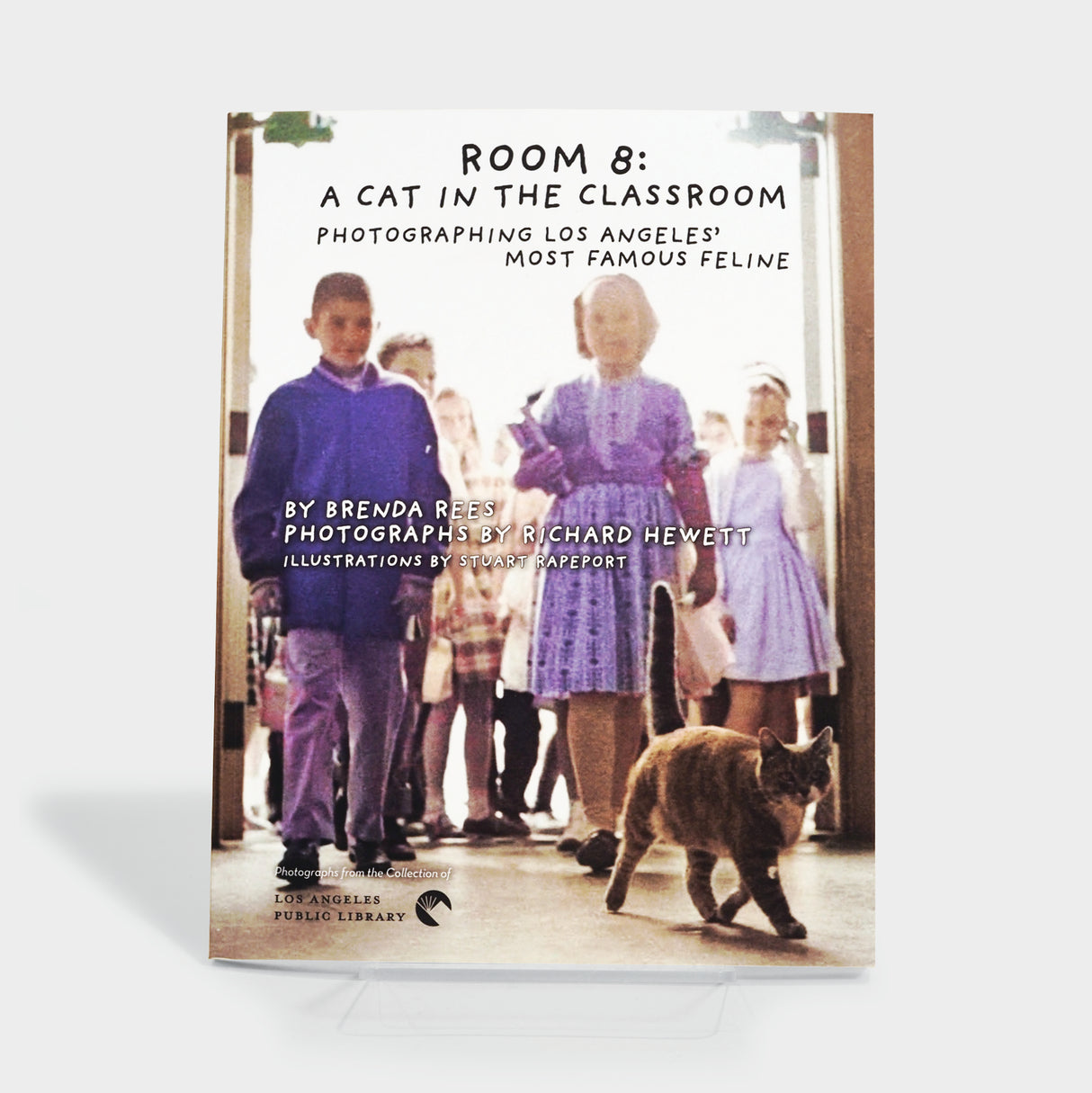 Room 8: A Cat in the Classroom
