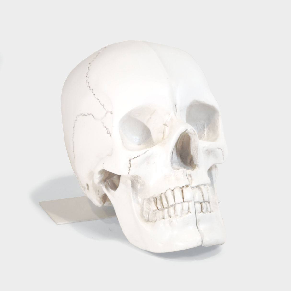 Skull Bookends