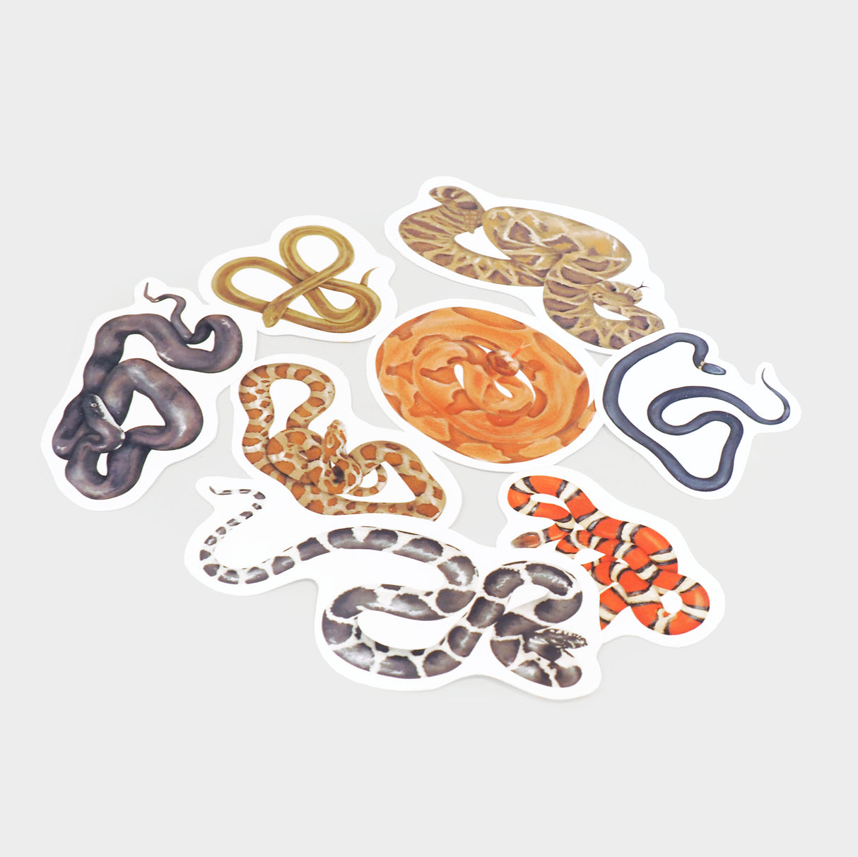 Snake Sticker Pack, Set of 8 Matte Vinyl Stickers