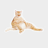 Snoozy Orange Tabby Cat Vinyl Sticker