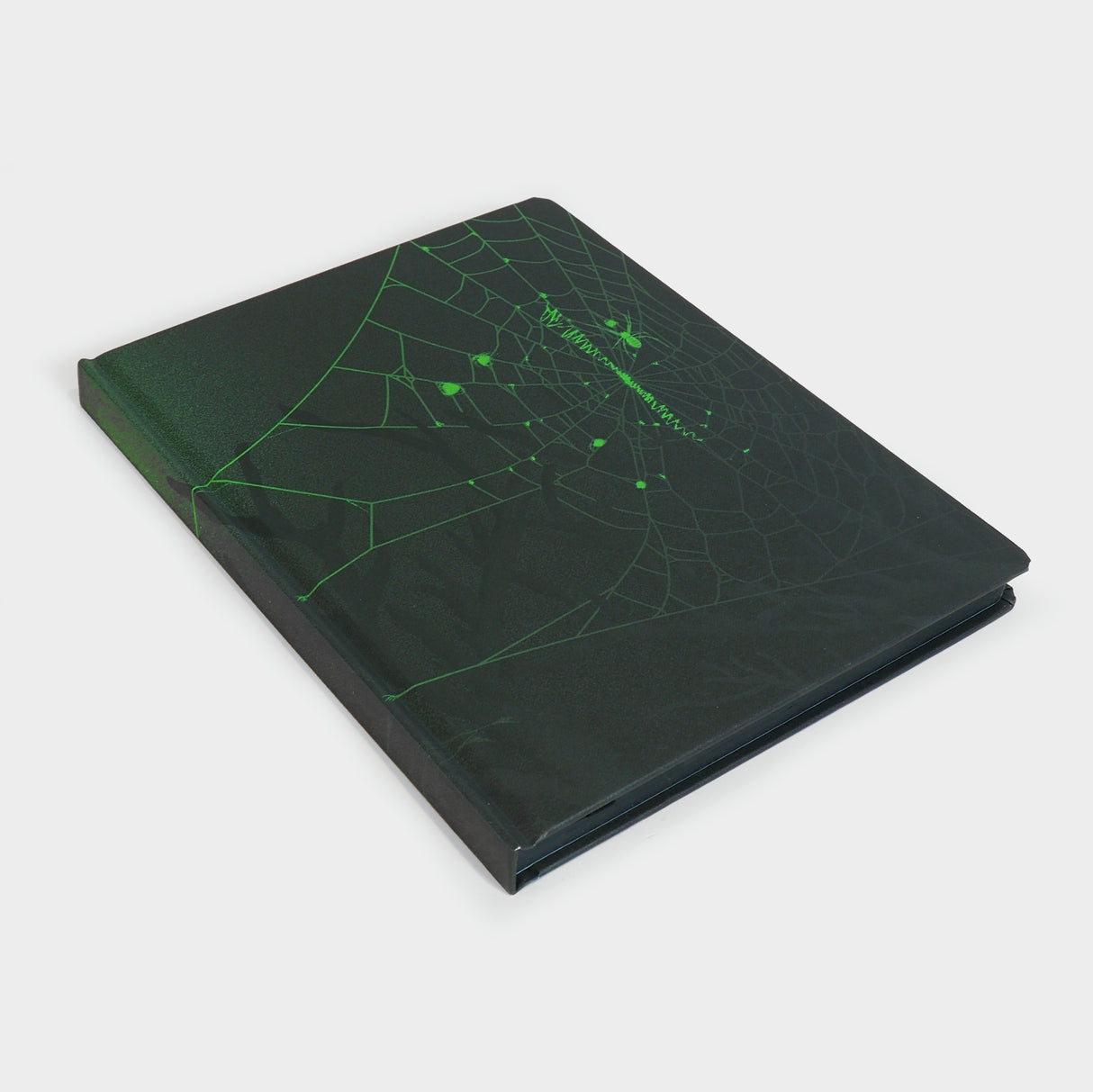 Spider & Webs Notebook