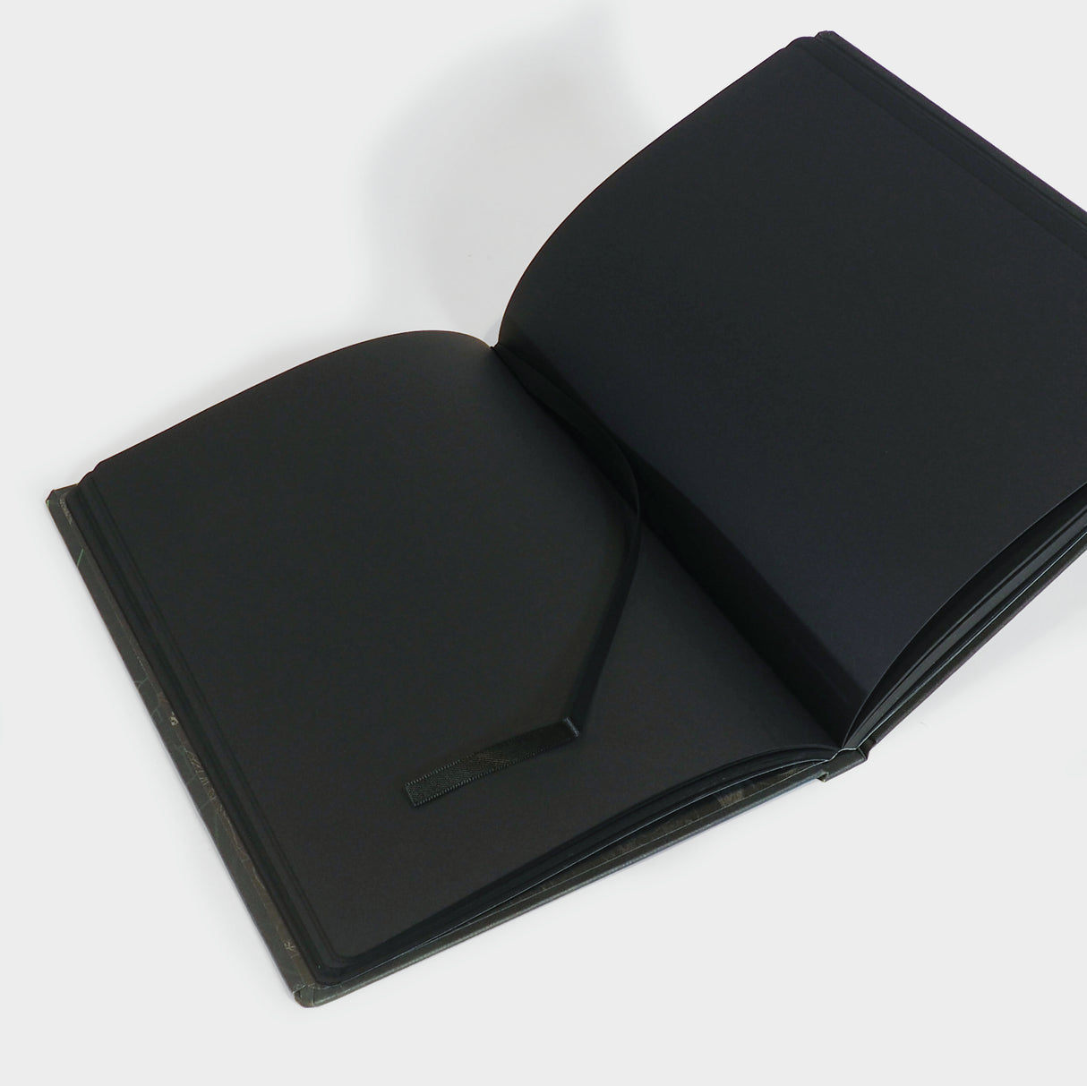 Spider & Webs Notebook