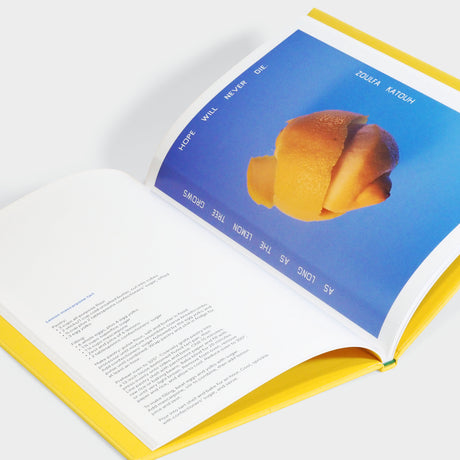 Squeeze Me: Lemon Recipes & Art