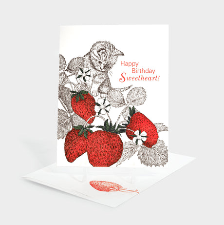 Greeting card with cat and strawberries illustration.