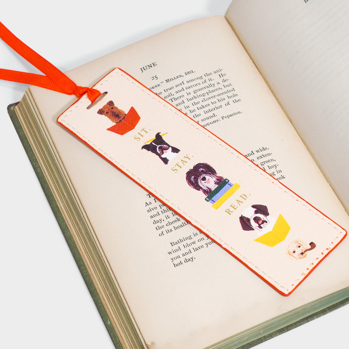 Studious Dogs Bookmark