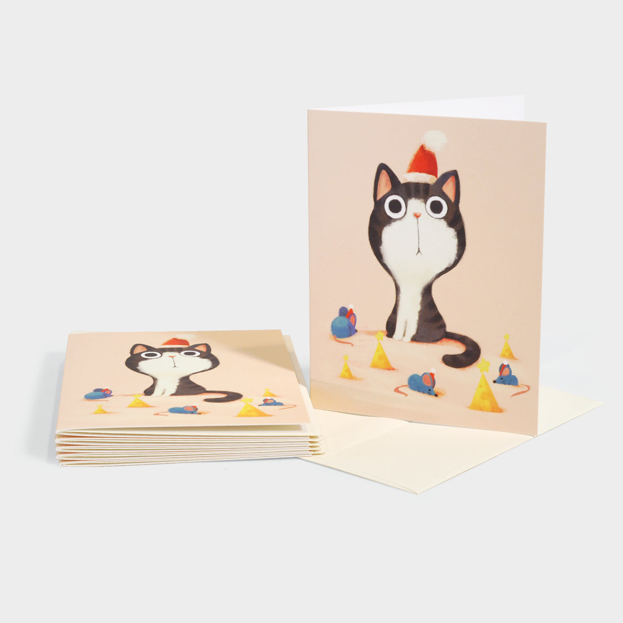 Tabby Mouse Xmas Boxed Cards