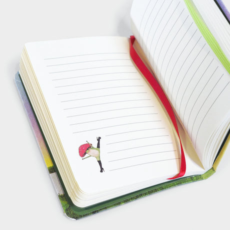 The Little Frog Notebook
