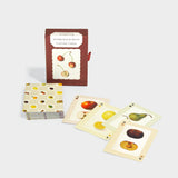 Watercolor Fruits Single Deck Playing Cards