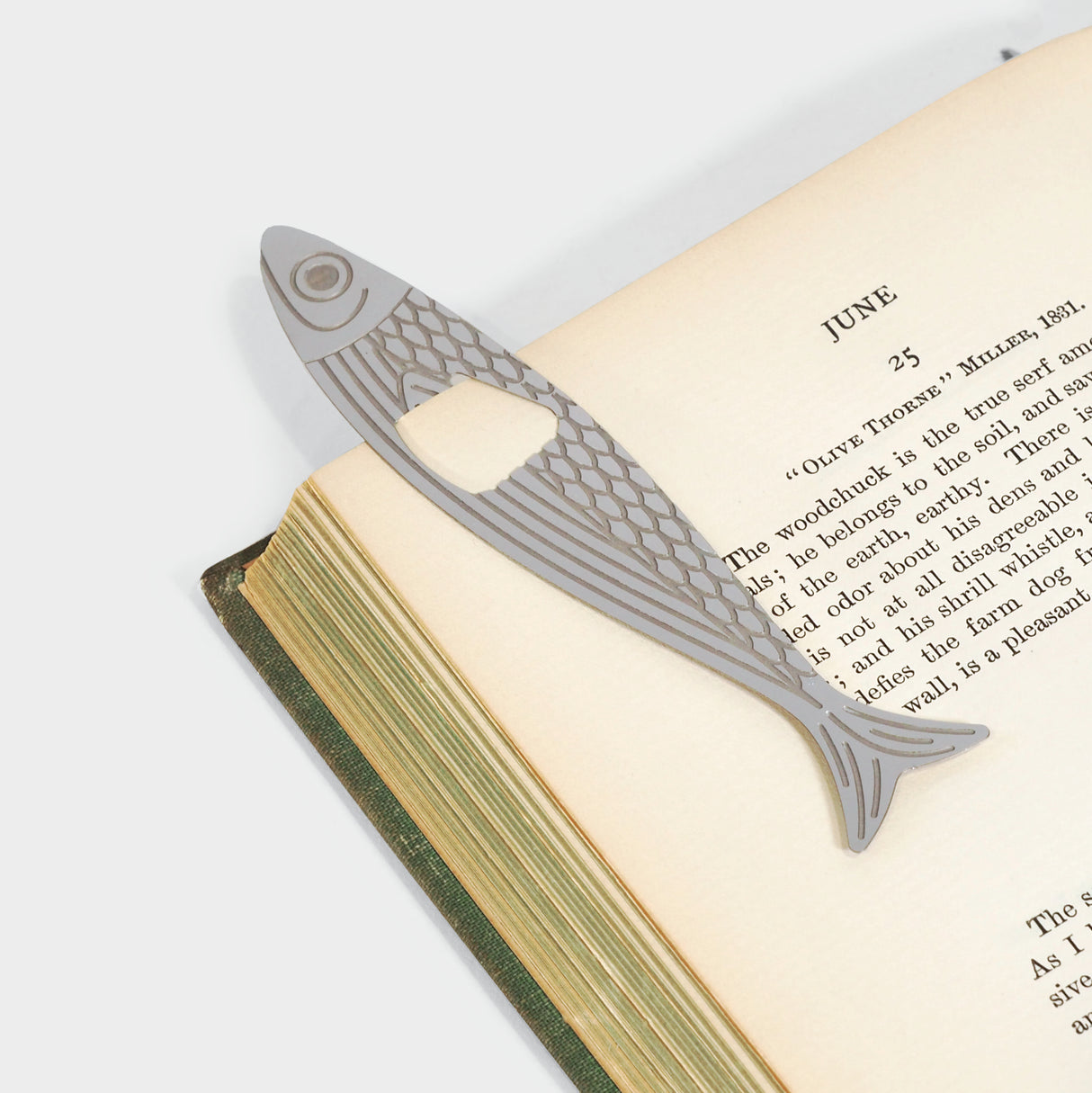 Water Marks Sardine Bookmarks