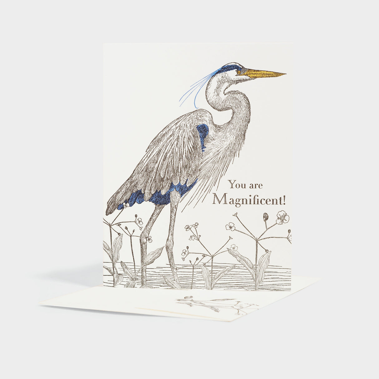 Water Plantain Magnificent Card