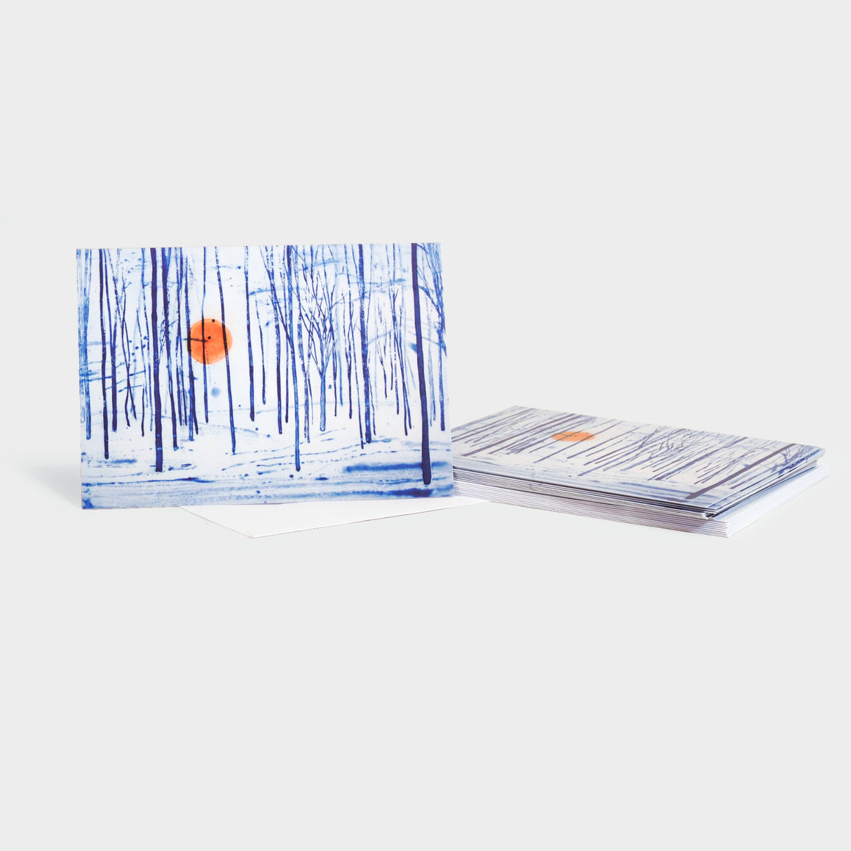 Winter Sun Holiday Box Cards (Set of 10)