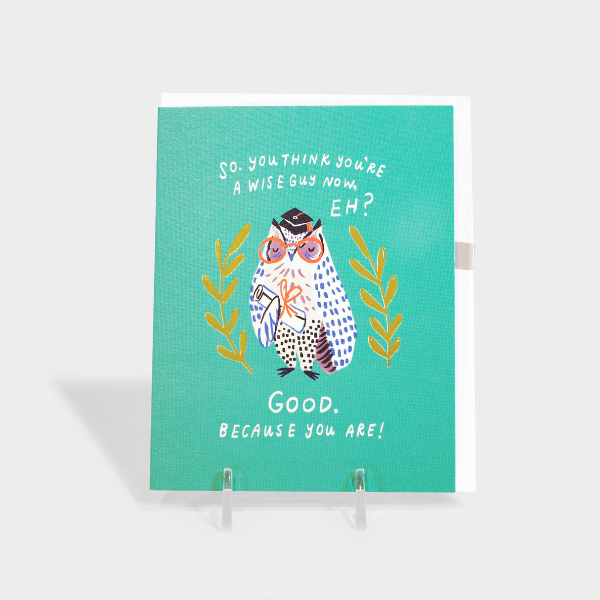 Greeting card with owl in graduation hat holding a diploma.