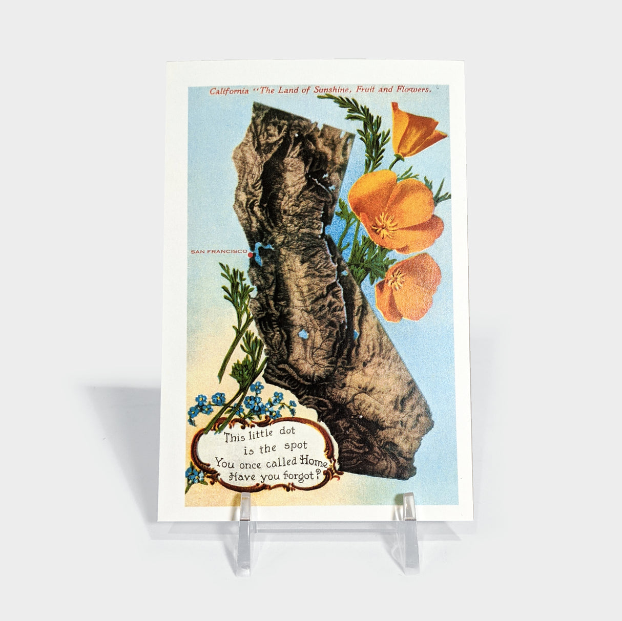 Map of California Poppies Post Card