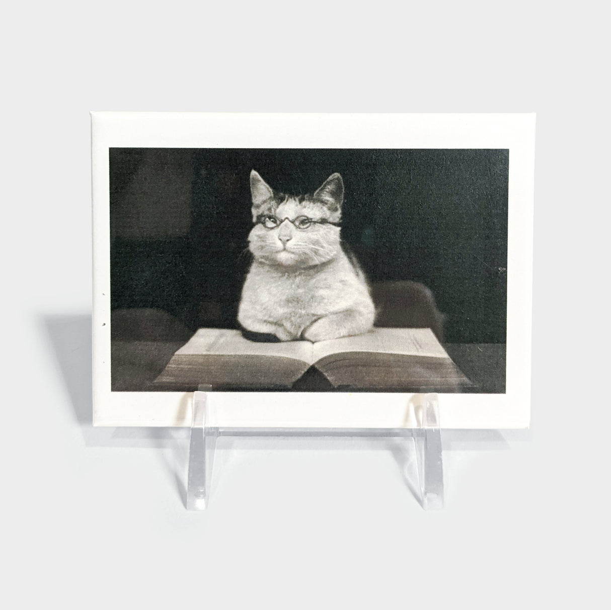 Wise Cat Reading Magnet